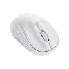 Миша Trust Primo (24795_TRUST), Matte White