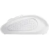 Миша Trust Primo (24795_TRUST), Matte White