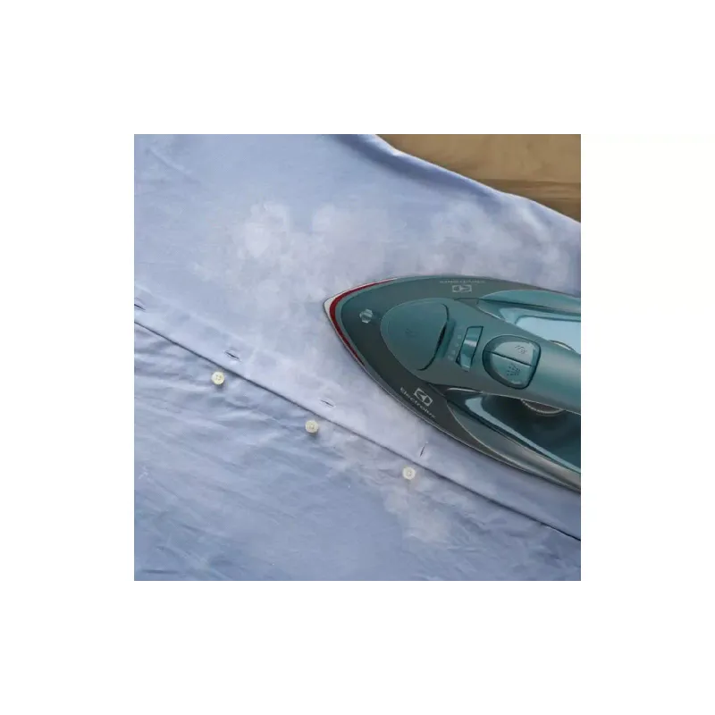 Праска Electrolux (E6SI1-6PG)