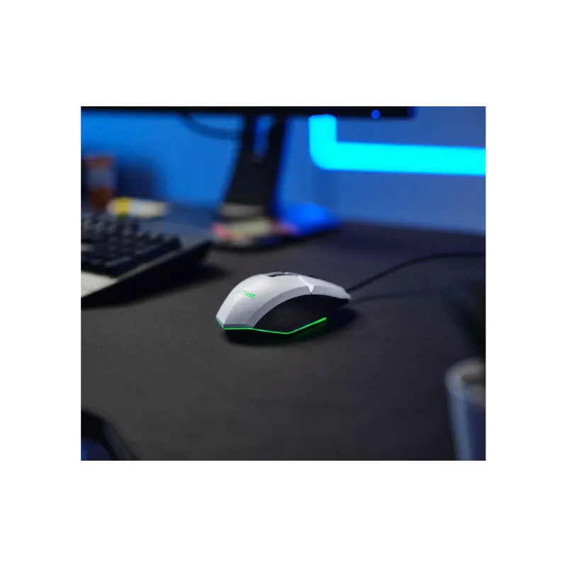 Rato Trust GXT-109 (25066_TRUST)