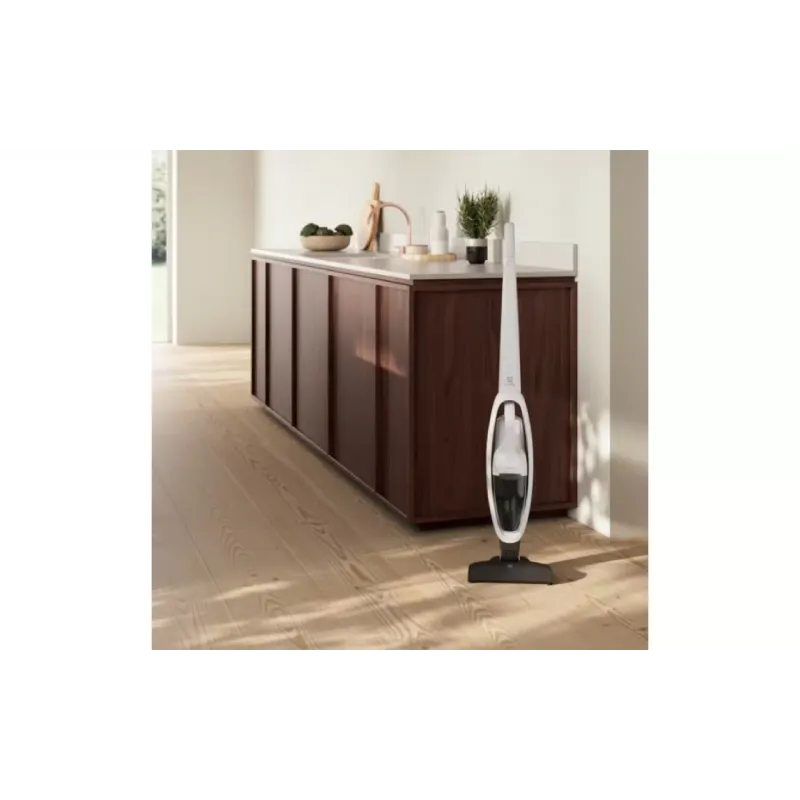 Porszívó Electrolux (ES31CB18SH)