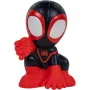 Botella de spray Spidey (SNF0222)