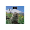 مقاييس الأرضية Ardesto (SCB-965MARMOT)