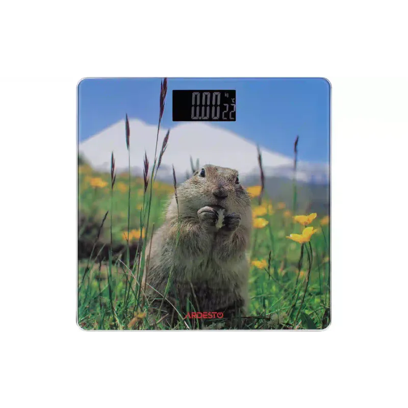 مقاييس الأرضية Ardesto (SCB-965MARMOT)