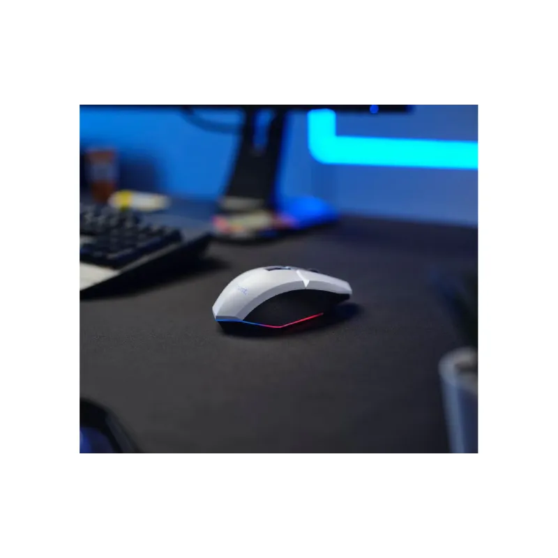 Rato Trust GXT-110 (25069_TRUST)