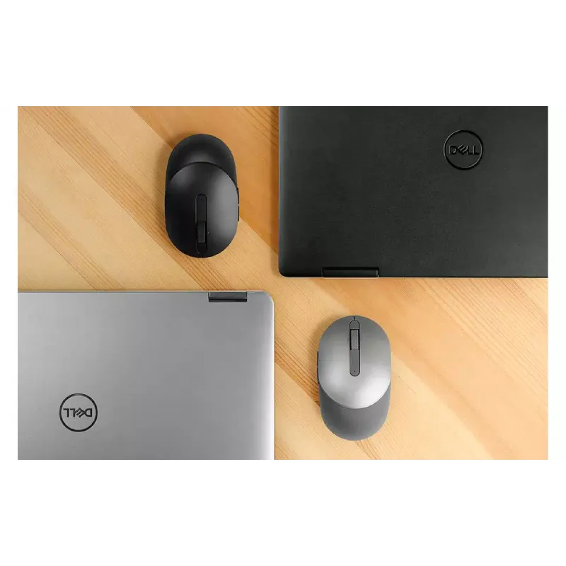 Miška Dell (570-ABHL)