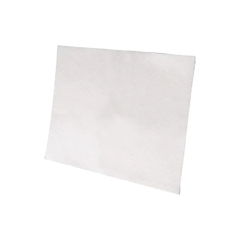 Vacuum cleaner filter Electrolux (EF1)