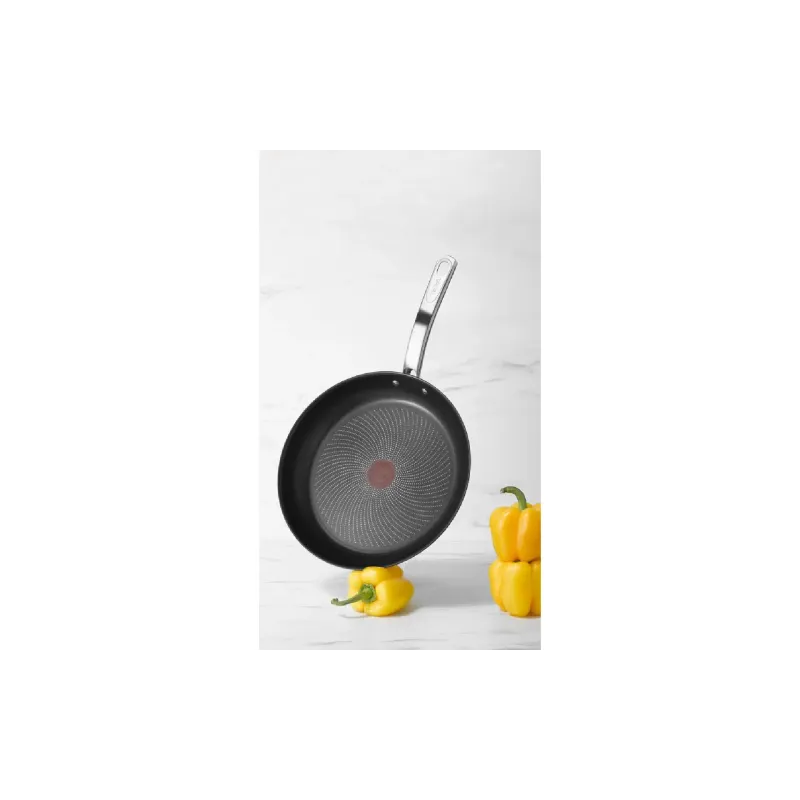 Frigideira Tefal Intuition, Stainless steel (B8170644)