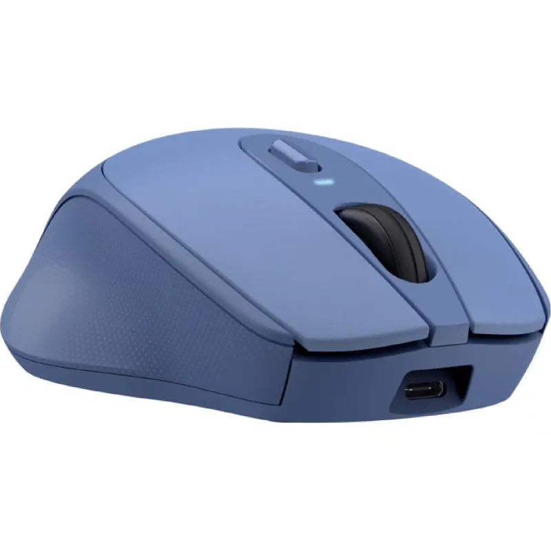 Rato Trust, Blue (25039_TRUST)