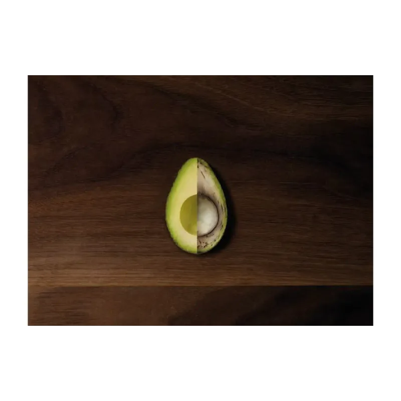 Vacuum bags Electrolux (EVRB1)