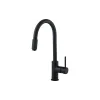 Кухненски кран Deante, Black (BCA_N64M)