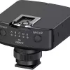 Receptor de radio Sony (FAWRR1.CE7)