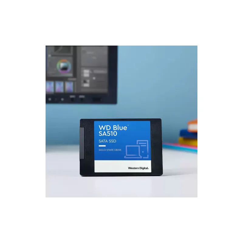 تخزين SSD WD (WDS100T3B0A)