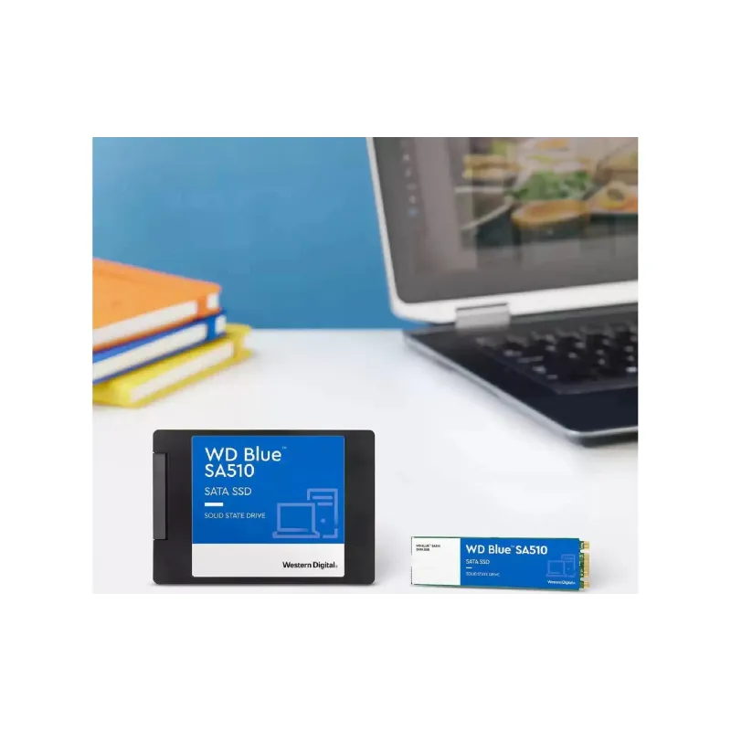 تخزين SSD WD (WDS100T3B0A)