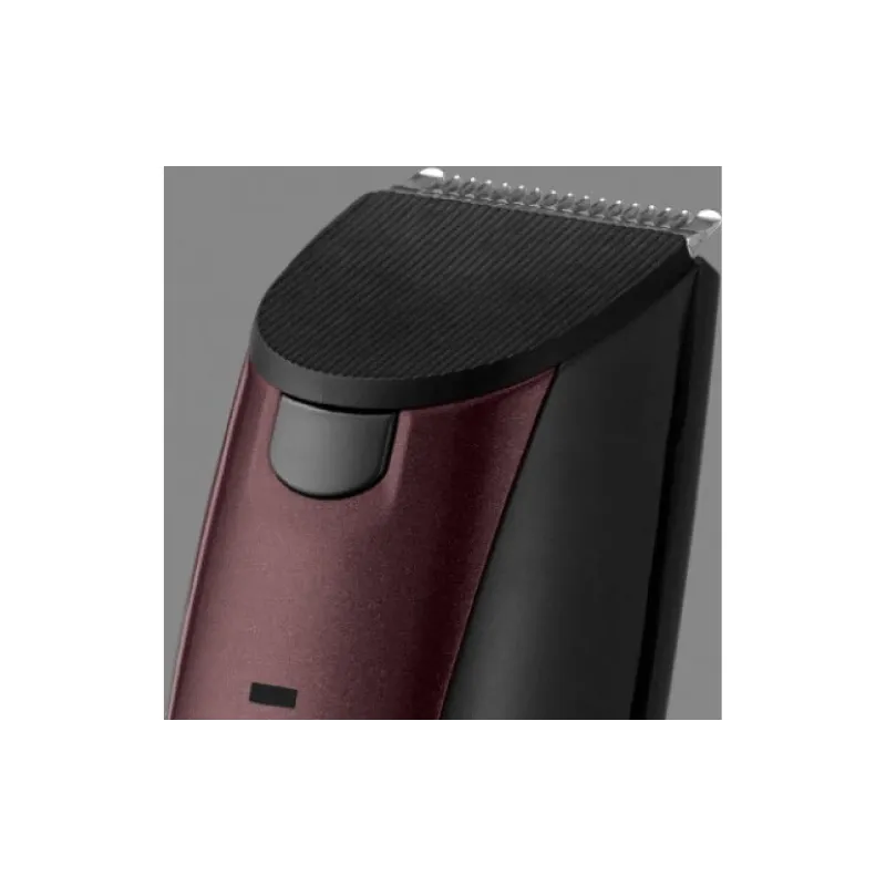 Καιροσκόπος Remington (43293560100)