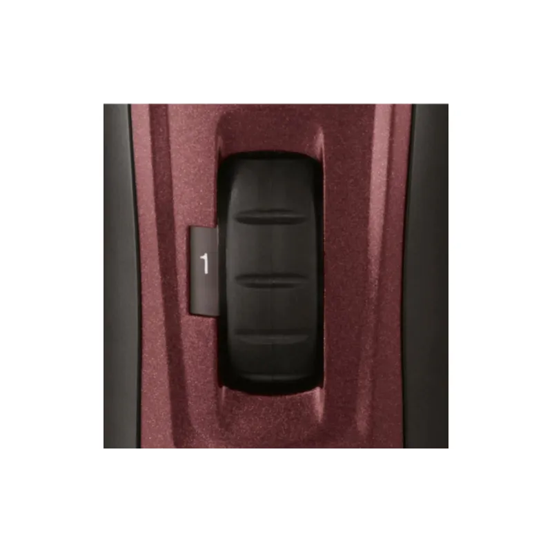 Καιροσκόπος Remington (43293560100)