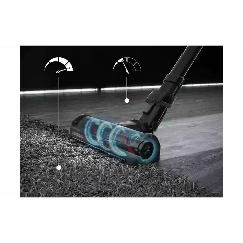 Porszívó Rowenta, Black (RH99G1WO)