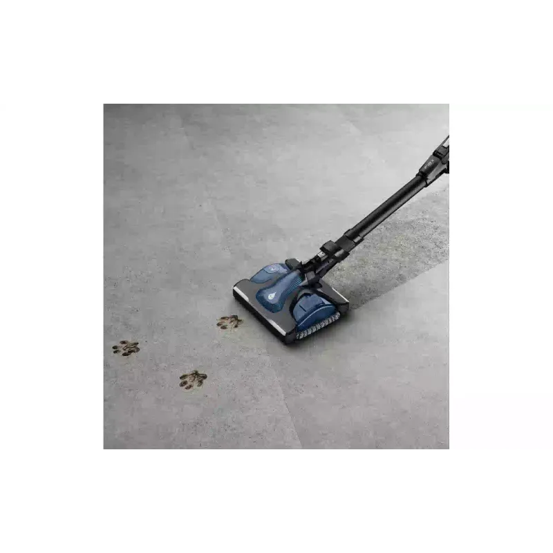 Porszívó Rowenta, Black (RH99G1WO)