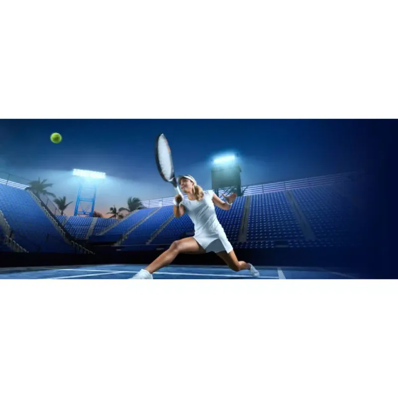 Tarjeta de memoria Transcend (TS256GSDC340S)