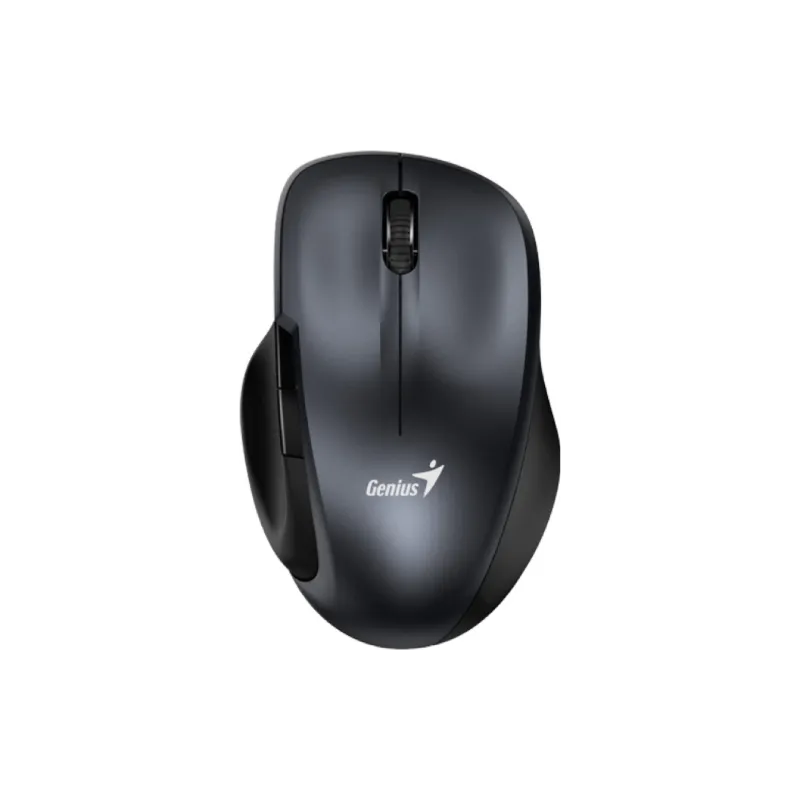 Мышь Genius  Iron Grey (31030029401)