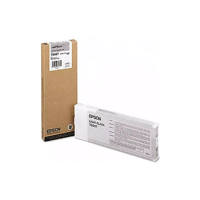 Cartucho Epson, Black (C13T606700)