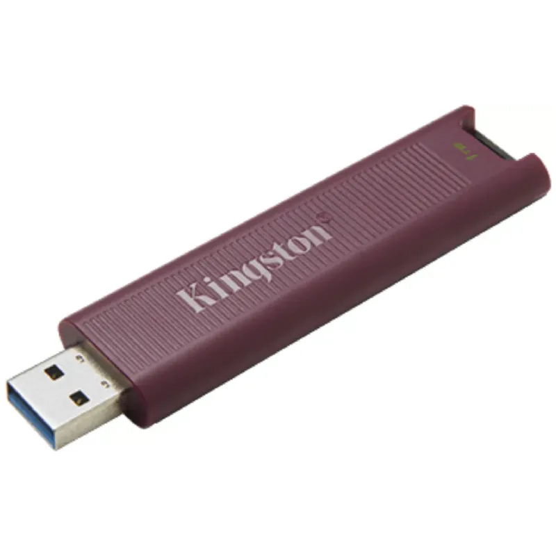 Накопитель USB Kingston (DTMAXA/1TB)