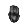 Мышь Genius  Black (31030029400)