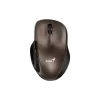 Rato Genius (31030029403)