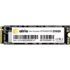 تخزين SSD Atria X500S (ATNVMX500S/256)