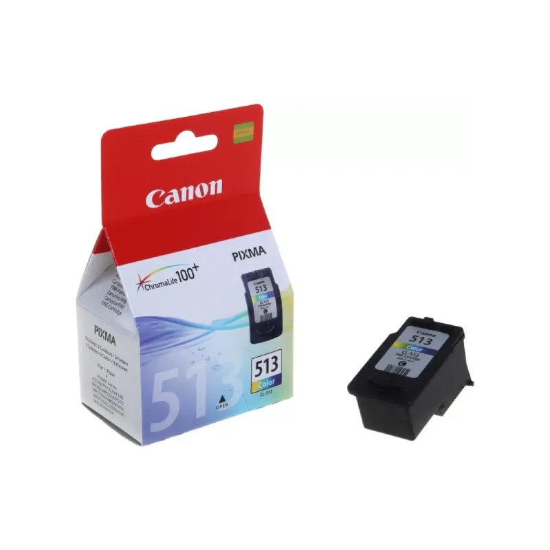 Cartucho Canon CL-513 (2971B007AA)