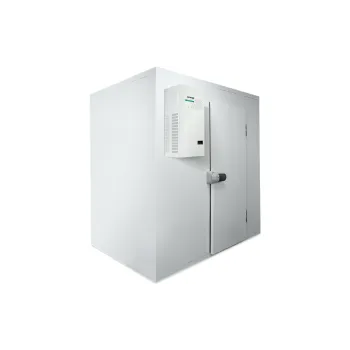 Kühlschrank Snaige (SGM008P)
