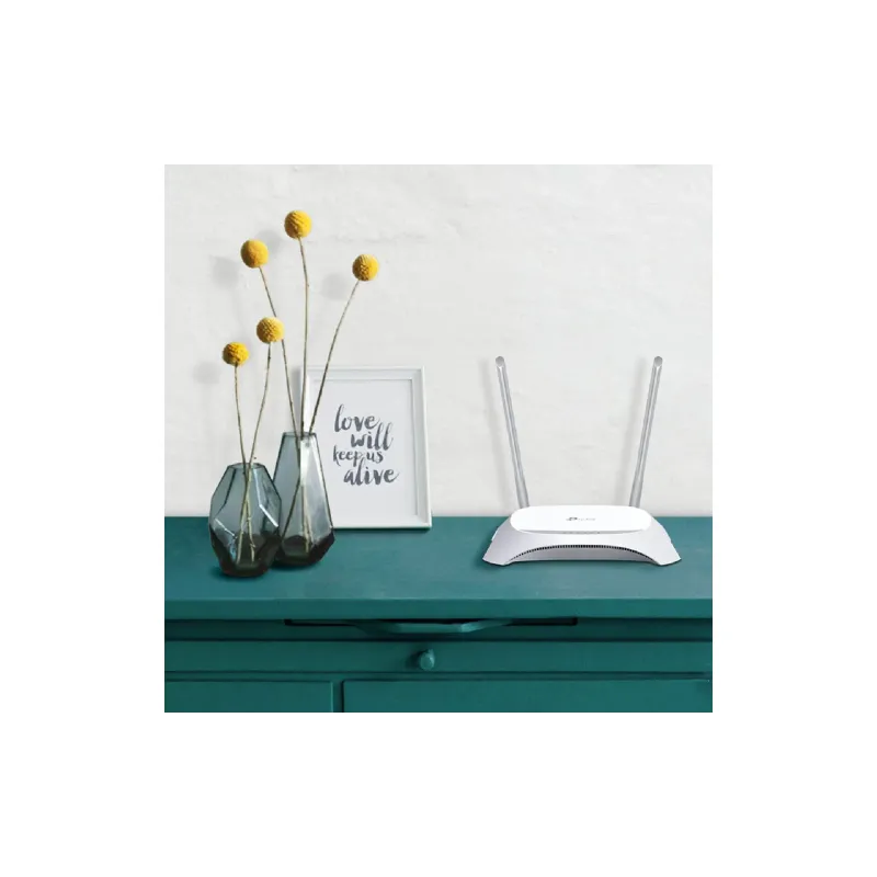 Router TP-Link  (TL-MR3420)