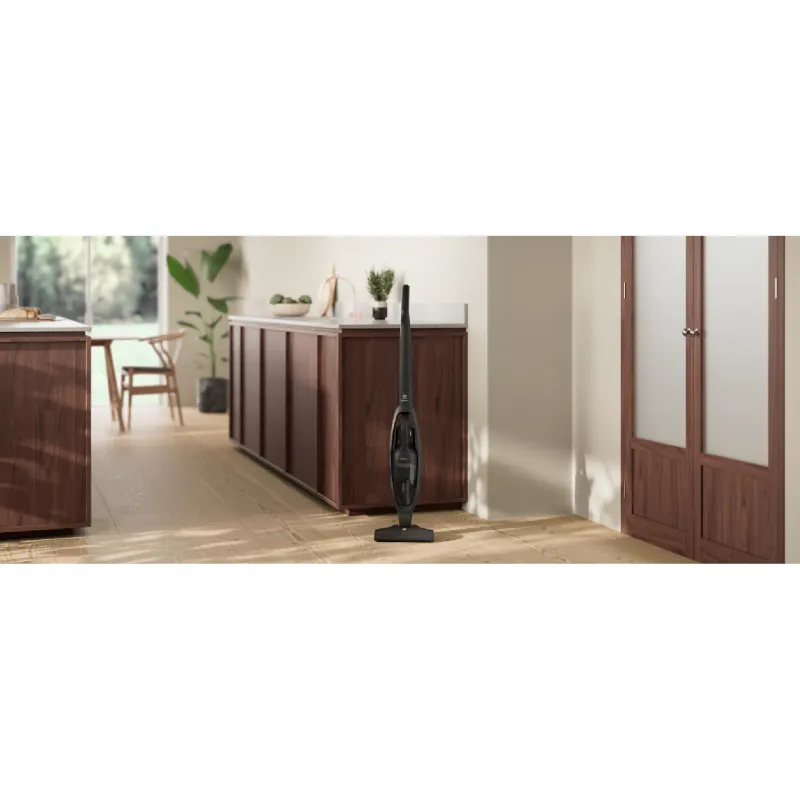 Vacuum cleaner Electrolux (ES31CB18GG), Gray