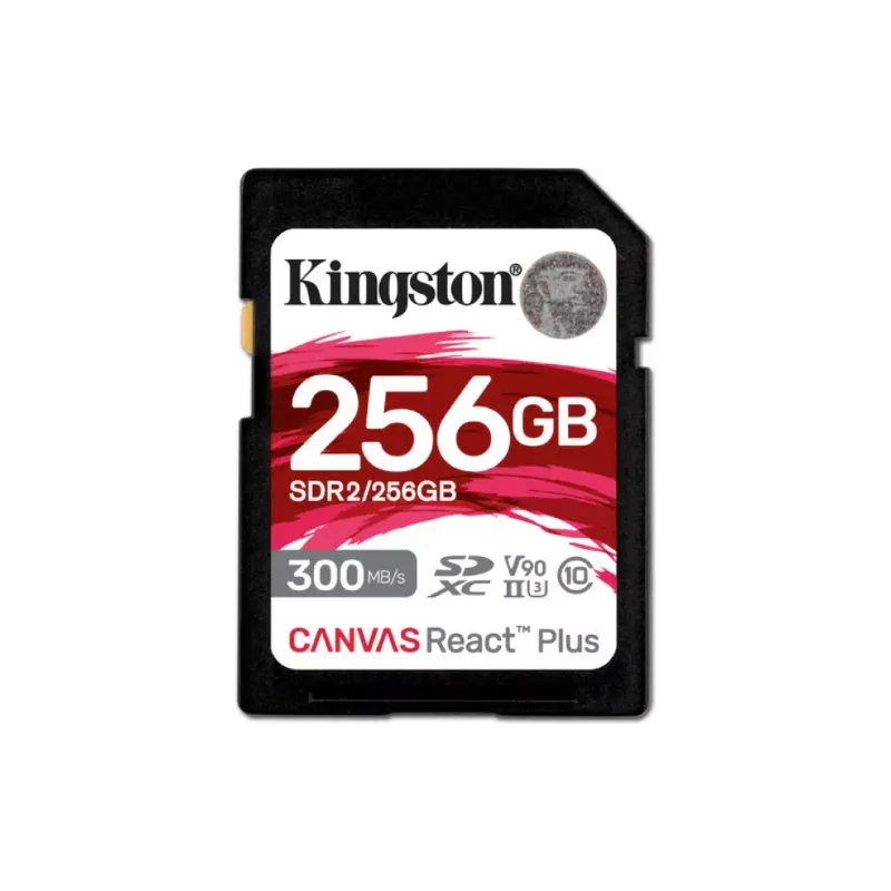 Карта пам'яті Kingston 256Gb (SDR2/256GB)