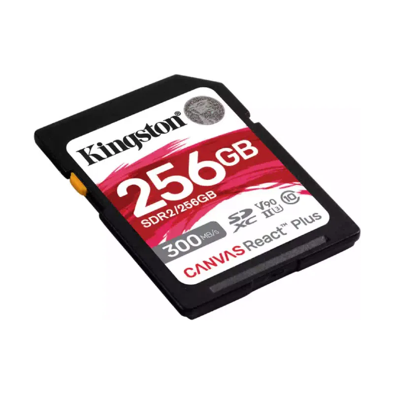 Карта пам'яті Kingston 256Gb (SDR2/256GB)
