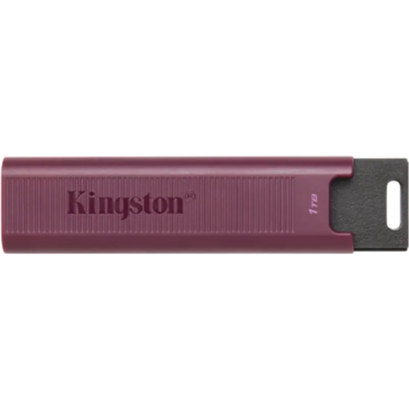 Накопитель USB Kingston (DTMAXA/1TB)