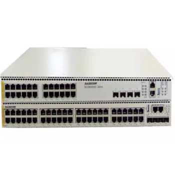 Preklop Raisecom (3048G-4C-PWR-AC/D)