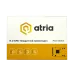 SSD pomnilnik Atria X500S (ATNVMX500S/256)