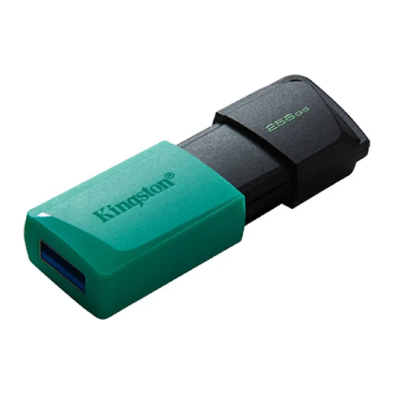 USB-Laufwerk Kingston, Black (DTXM/256GB)