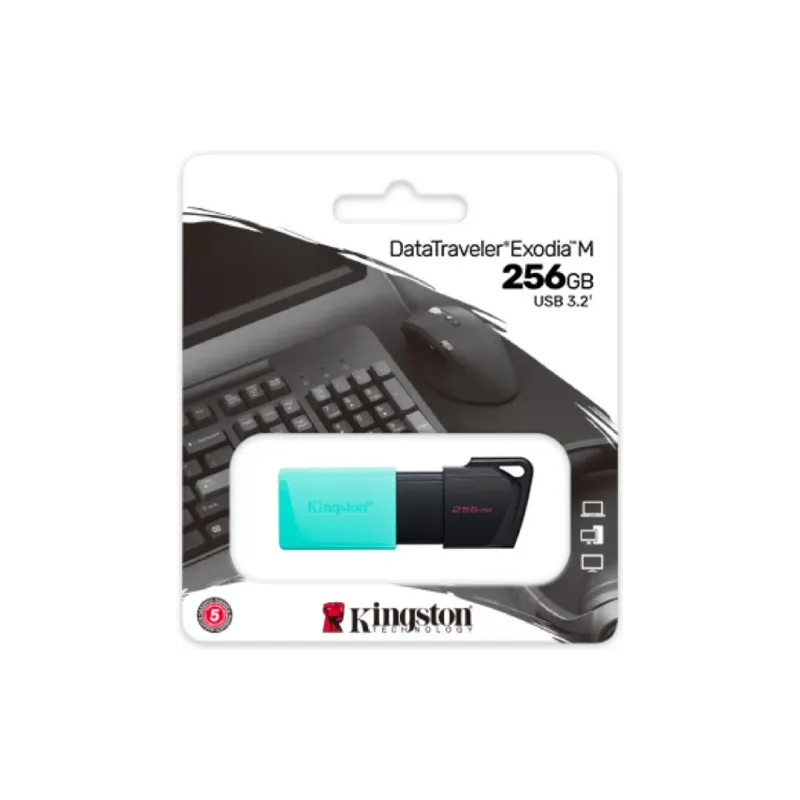 USB-Laufwerk Kingston, Black (DTXM/256GB)