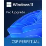 برمجة Microsoft Windows 11 Pro Upgrade (DG7GMGF0D8H4-0004)