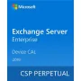Software Microsoft, Ice (DG7GMGF0F4MD-0005)