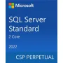 Программное обеспечение Microsoft  Ice (DG7GMGF0M7XW-0002)