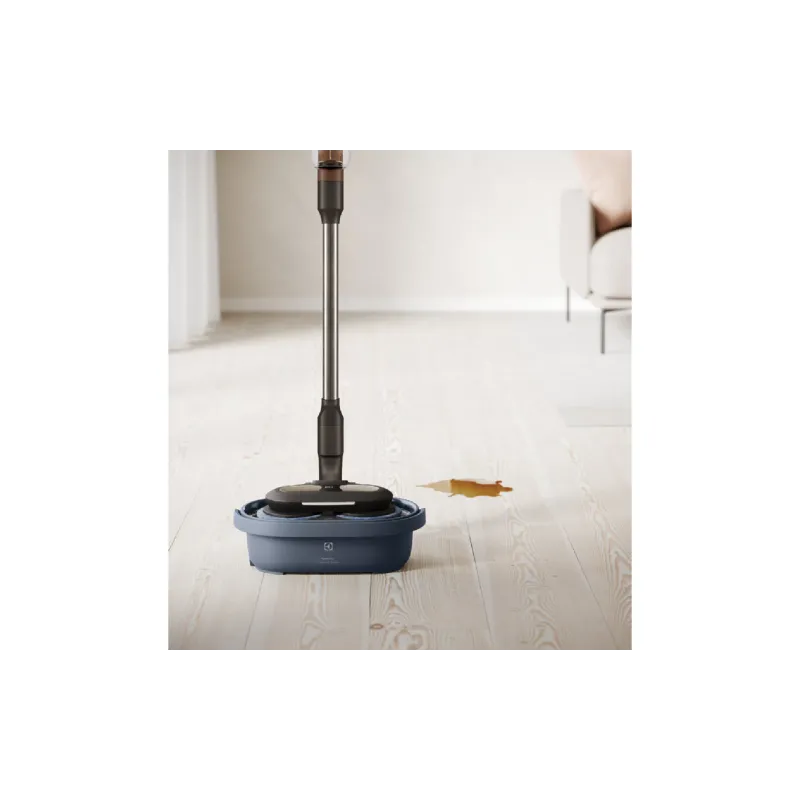 Čistilna postaja Electrolux (EPPCS2)