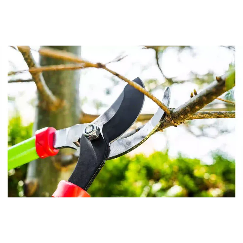 Tijeras de podar Verto (15G252)