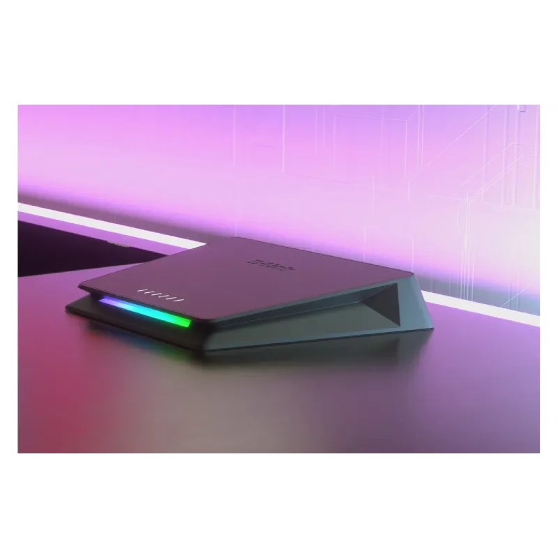 Schalten D-Link (DMS-106XT)