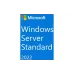 Software Microsoft (P73-08328)