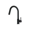 Змішувач для кухні Franke, Black (115.0626.053)