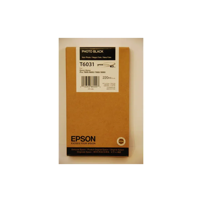 Картридж Epson  Photo Black (C13T603100)