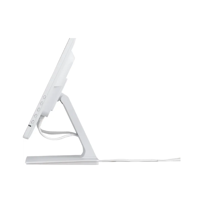 Monitor Iiyama (T2452MSC-W1)